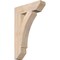 Ekena Millwork Thorton Slat Smooth Bracket, Douglas Fir, 3 1/2"W x 14"D x 22"H BKT04X14X22THR06SDF - alternate 1